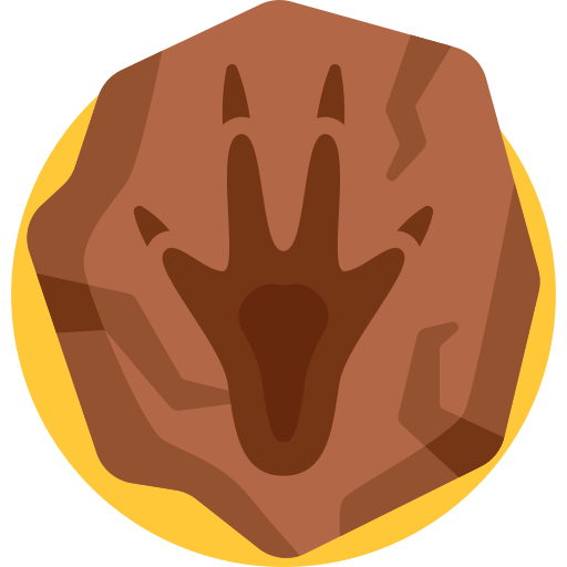 Dino Footprint