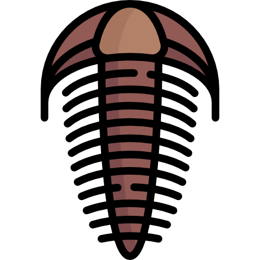 Trilobite